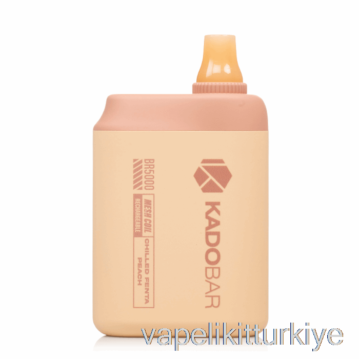 Vape Elektronik Sigara Kado Bar Br5000 Tek Kullanımlık Soğutulmuş Fenta şeftali